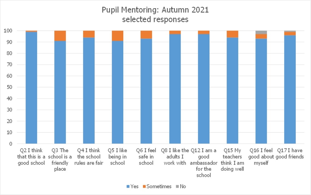Pupil Mentoring Autumn 2021 selected