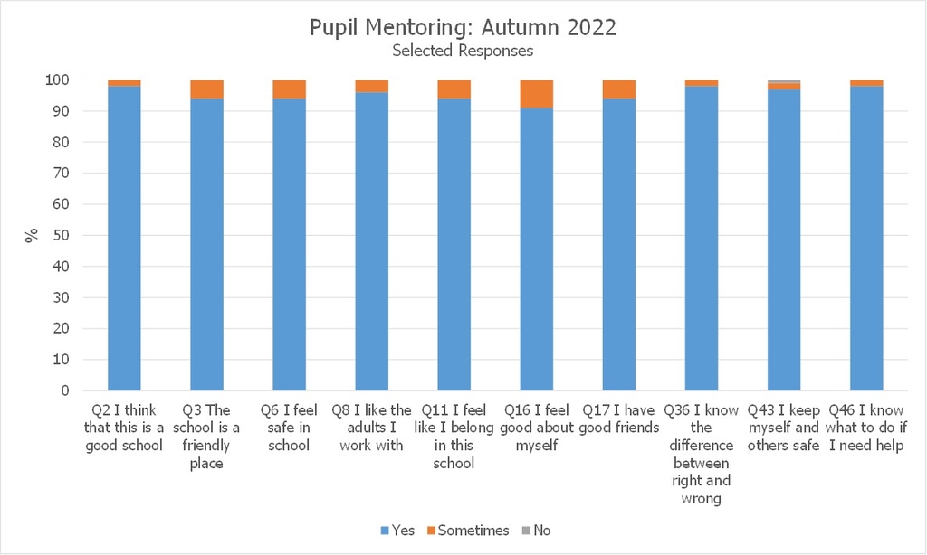 Pupil Mentoring Autumn 2022 Selected